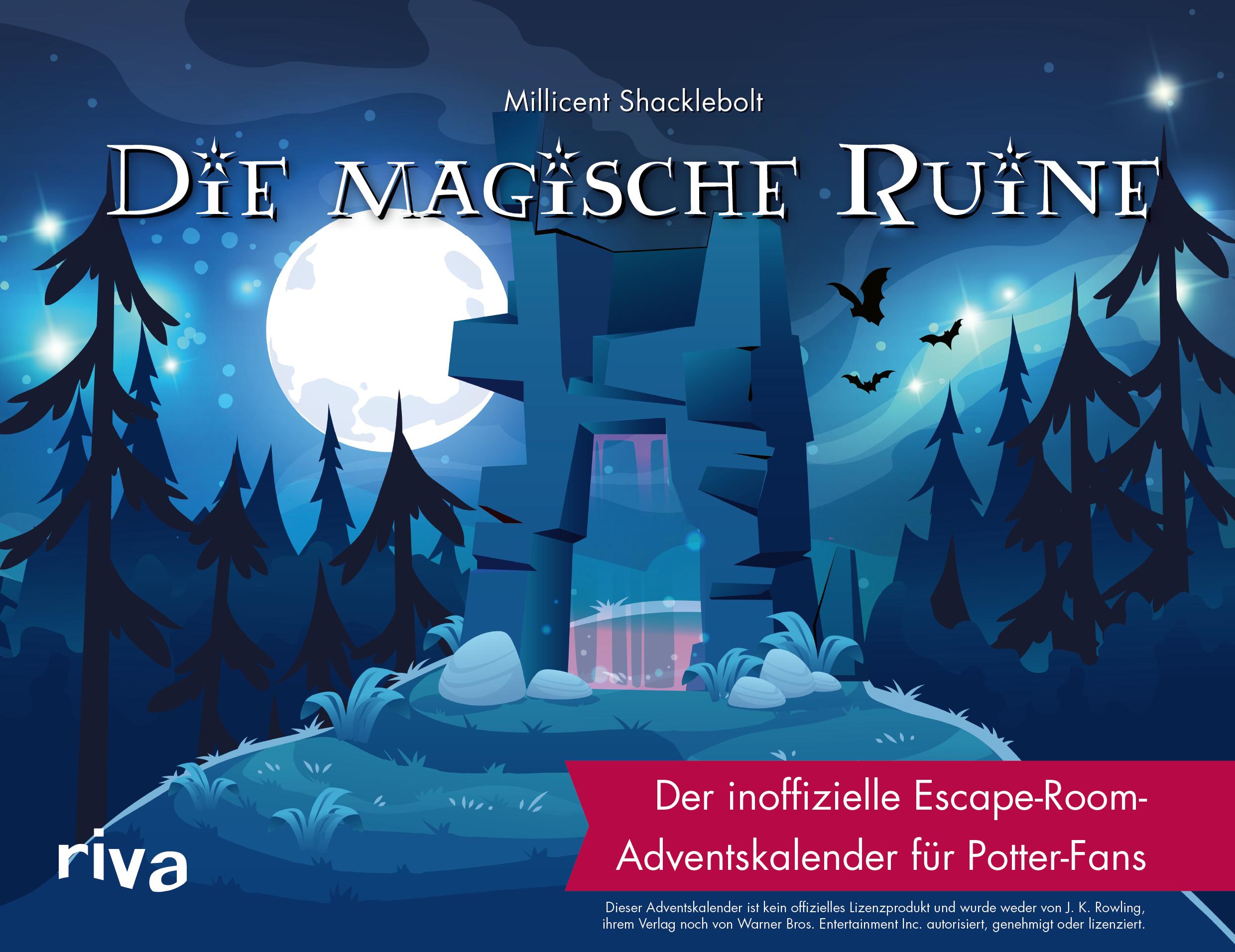 Vorderes Coverbild Die magische Ruine