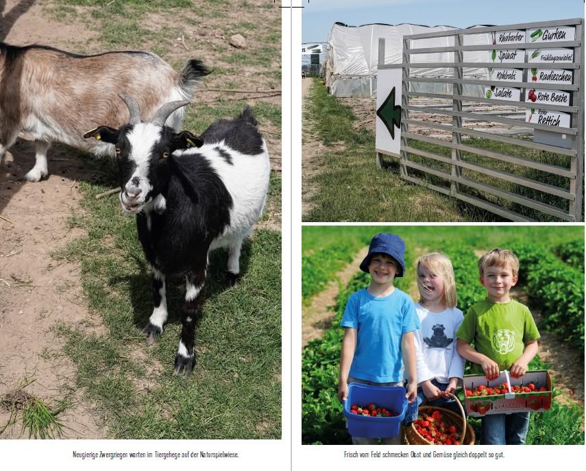 Beispielinhalt (Bild) Der Ausflugsverführer Franken für Familien