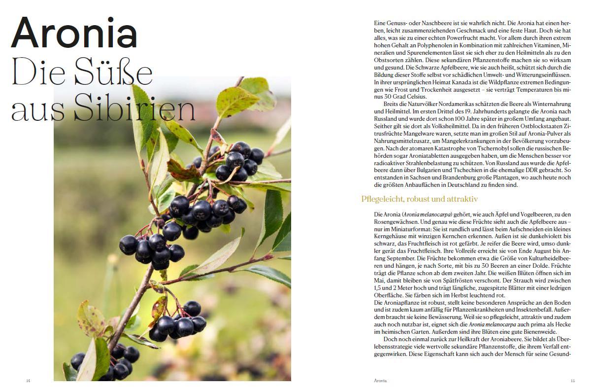 Beispielinhalt (Bild) Safran, Soja, Süßkartoffel