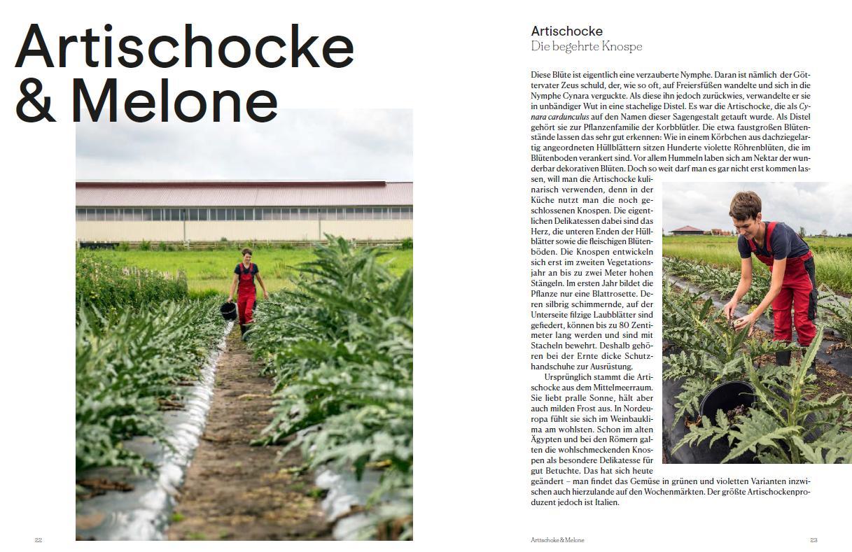 Beispielinhalt (Bild) Safran, Soja, Süßkartoffel