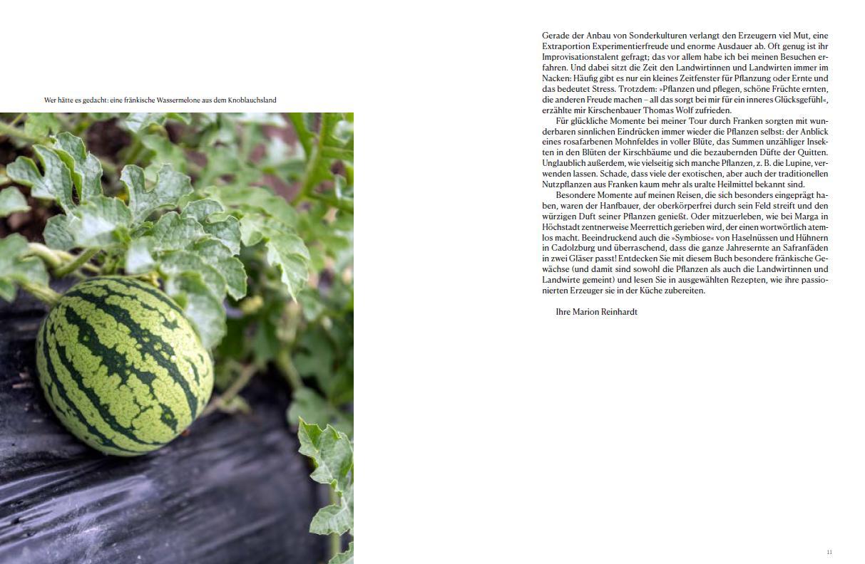 Beispielinhalt (Bild) Safran, Soja, Süßkartoffel