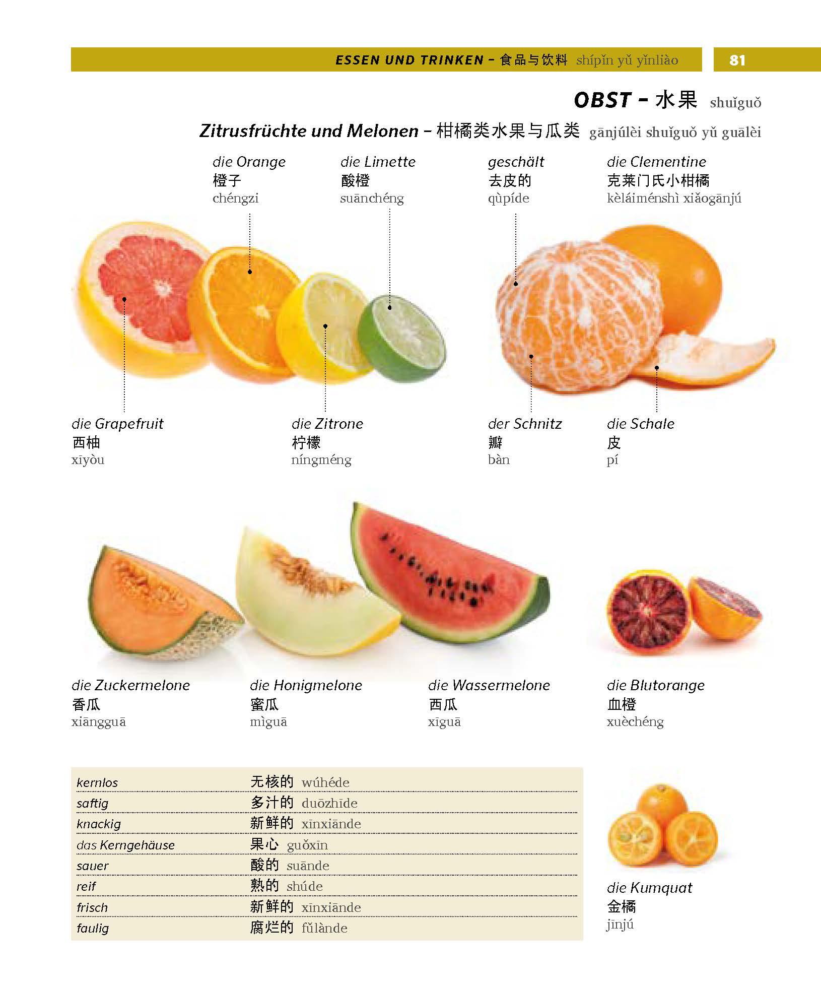 Beispielinhalt (Bild) PONS Bildwörterbuch Chinesisch