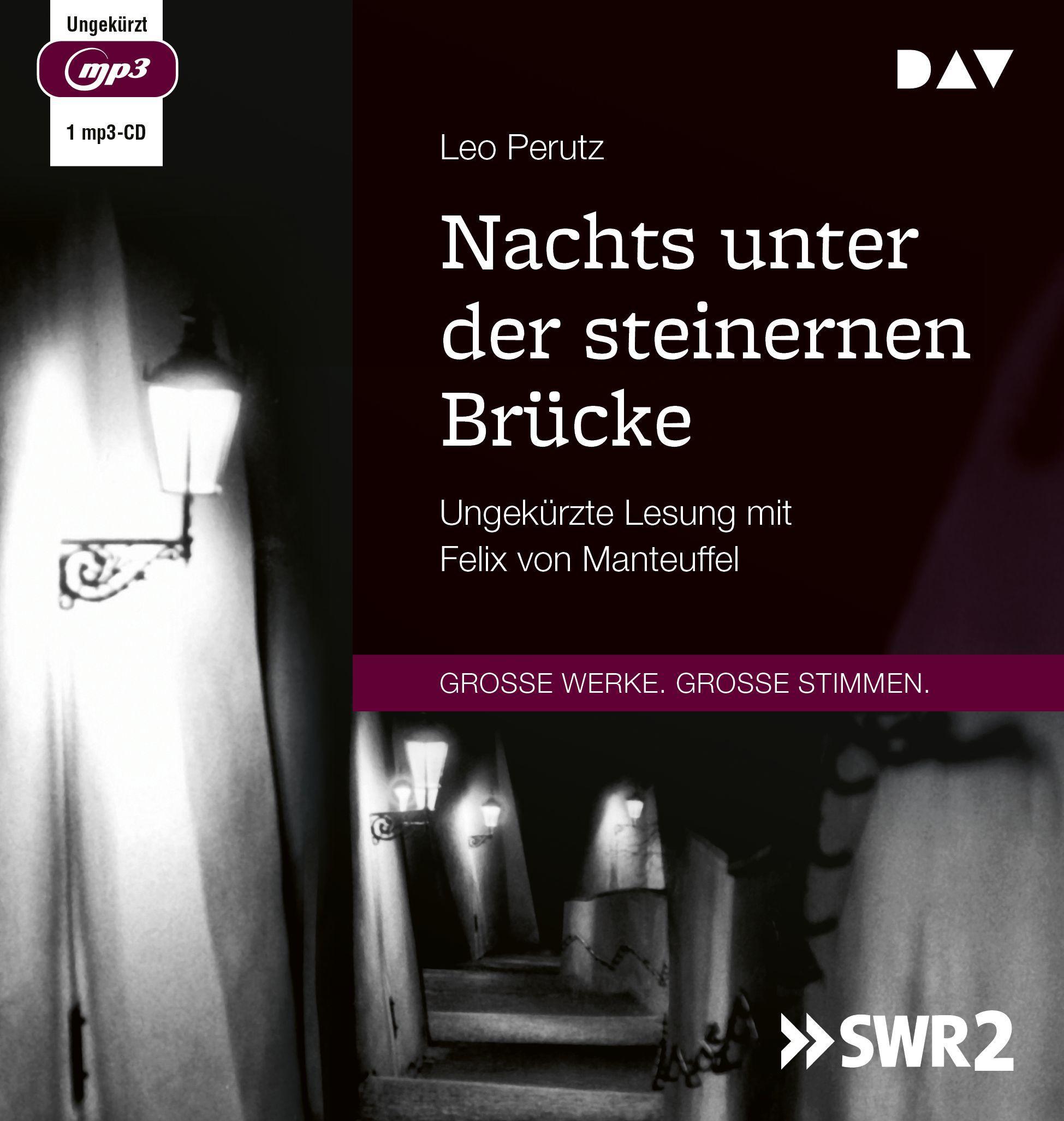 Vorderes Coverbild Nachts unter der steinernen Brücke