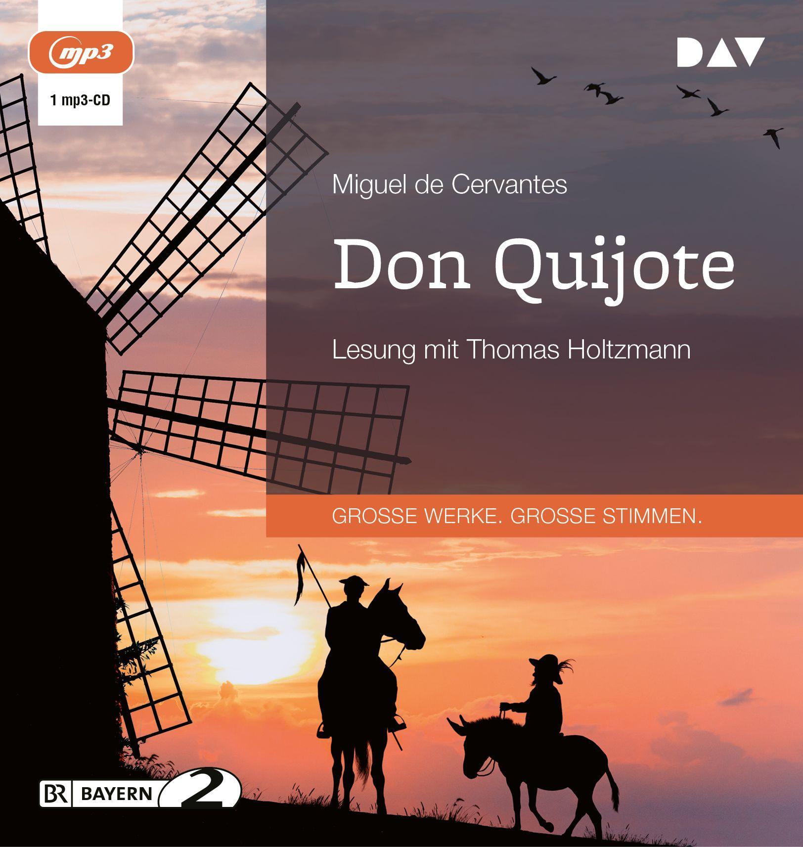 Vorderes Coverbild Don Quijote