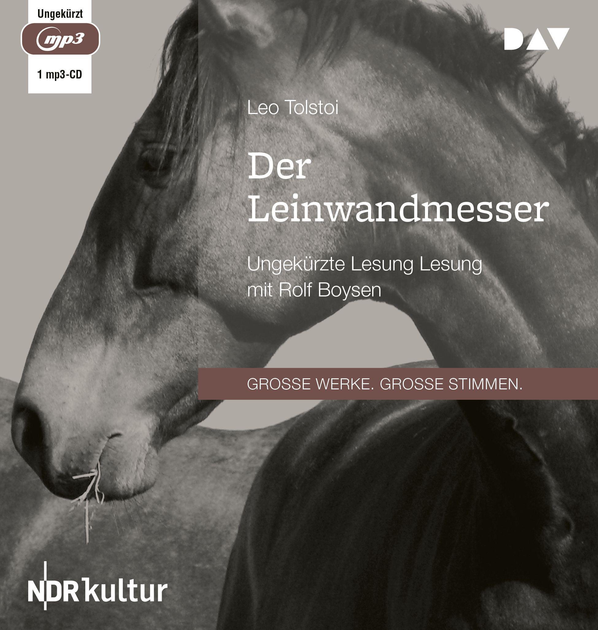 Vorderes Coverbild Der Leinwandmesser