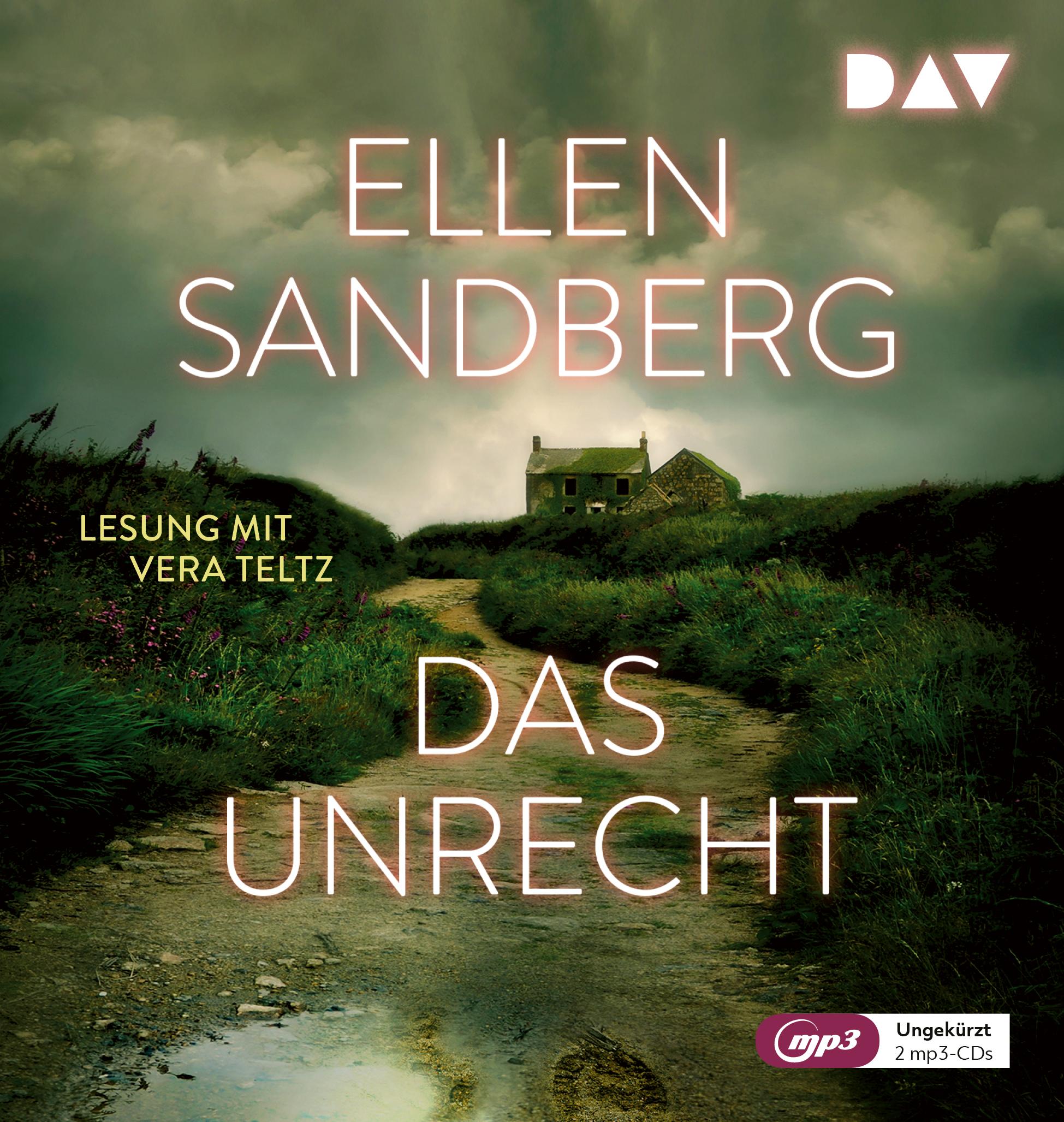 Vorderes Coverbild Das Unrecht