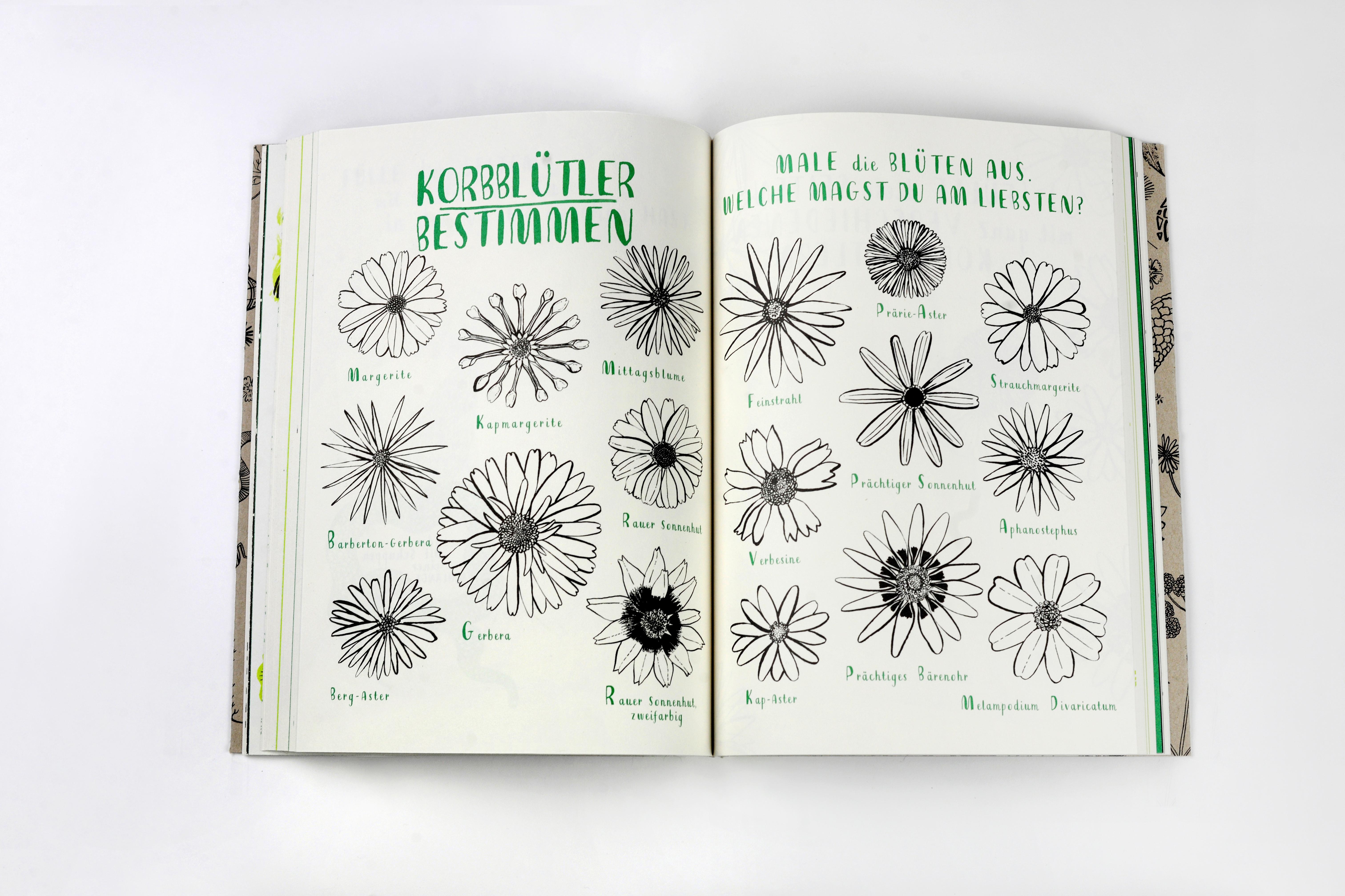 Beispielinhalt (Bild) Mein Naturbuch überarb. Neuauflage
