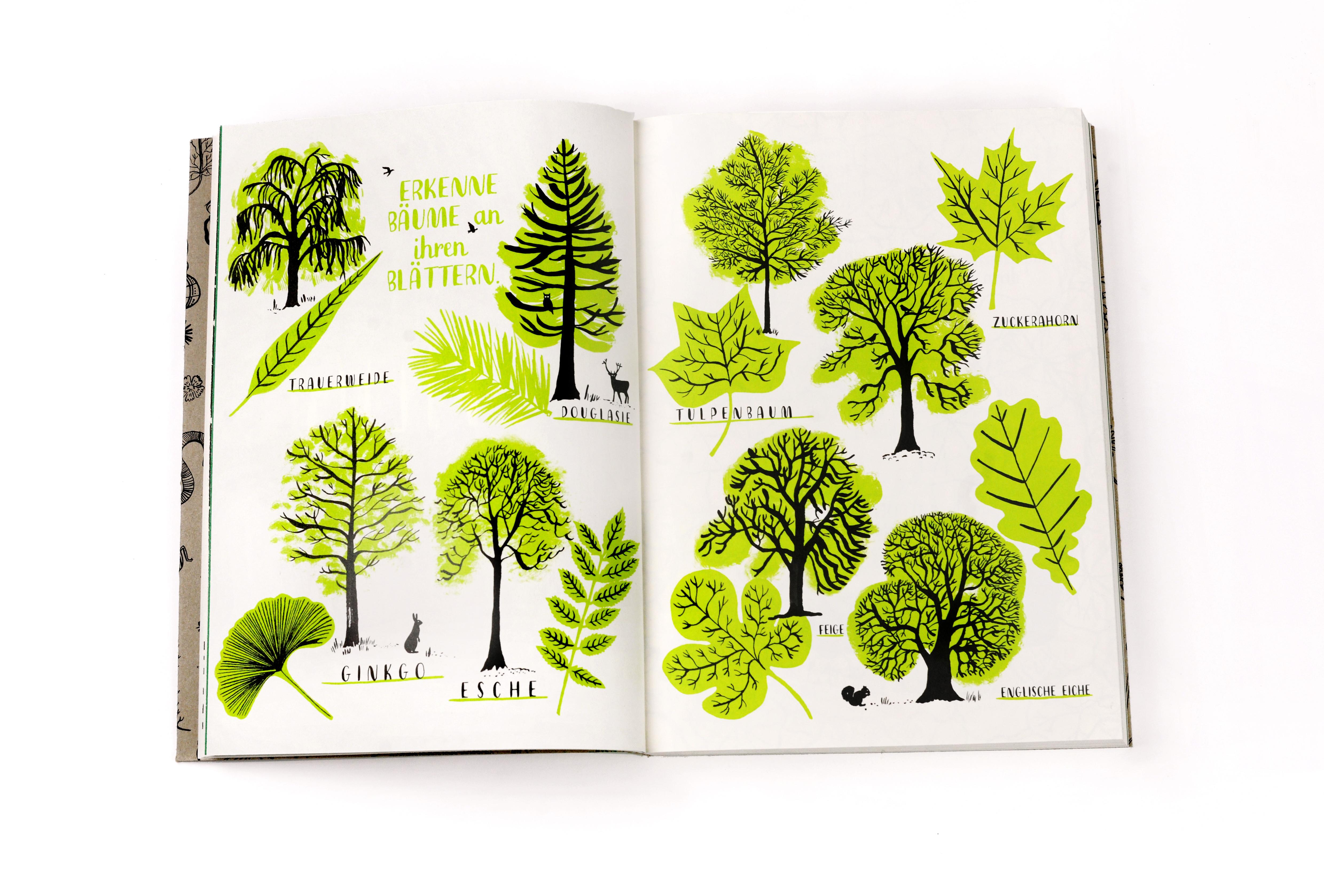 Beispielinhalt (Bild) Mein Naturbuch überarb. Neuauflage