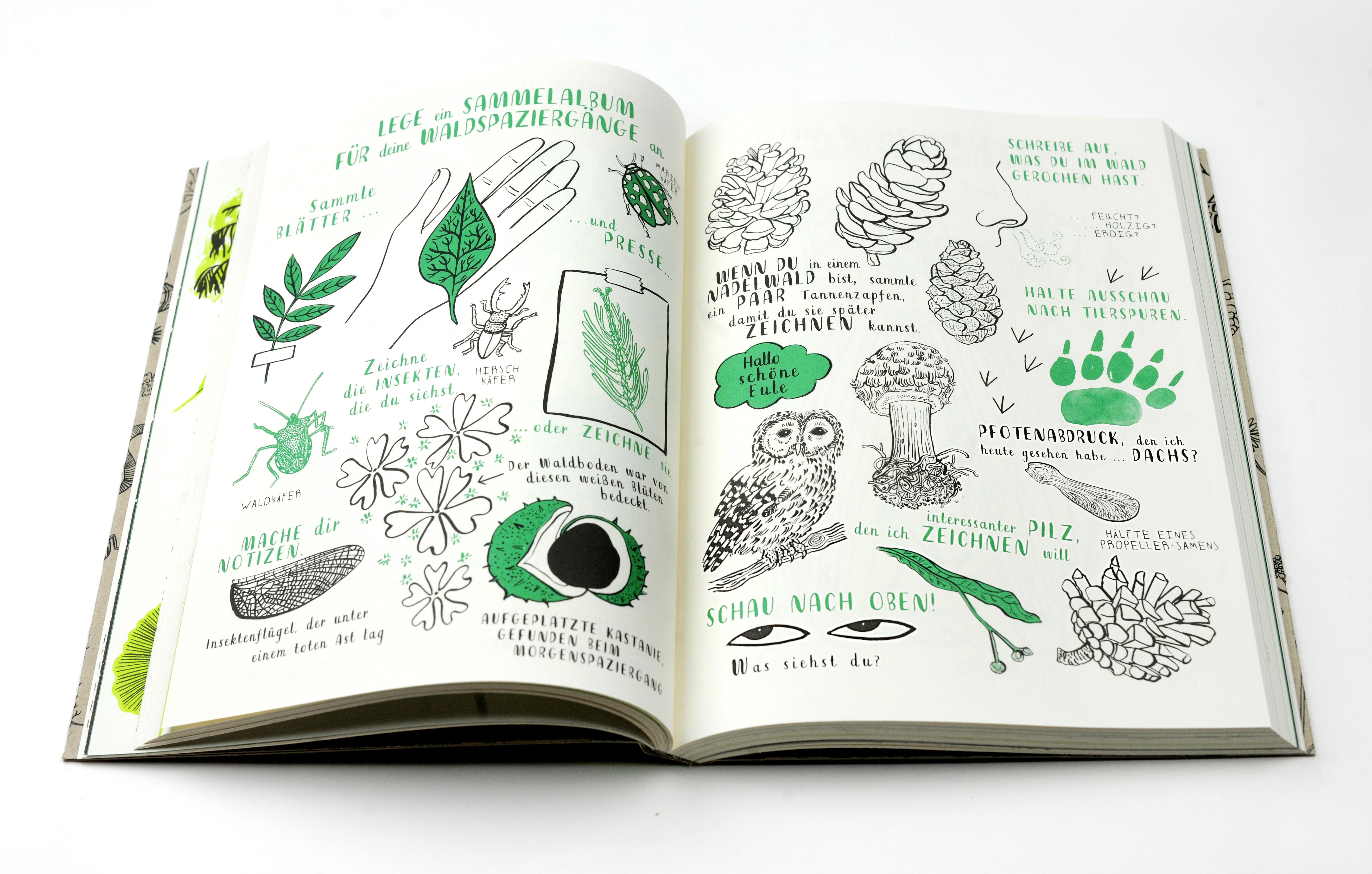 Beispielinhalt (Bild) Mein Naturbuch überarb. Neuauflage