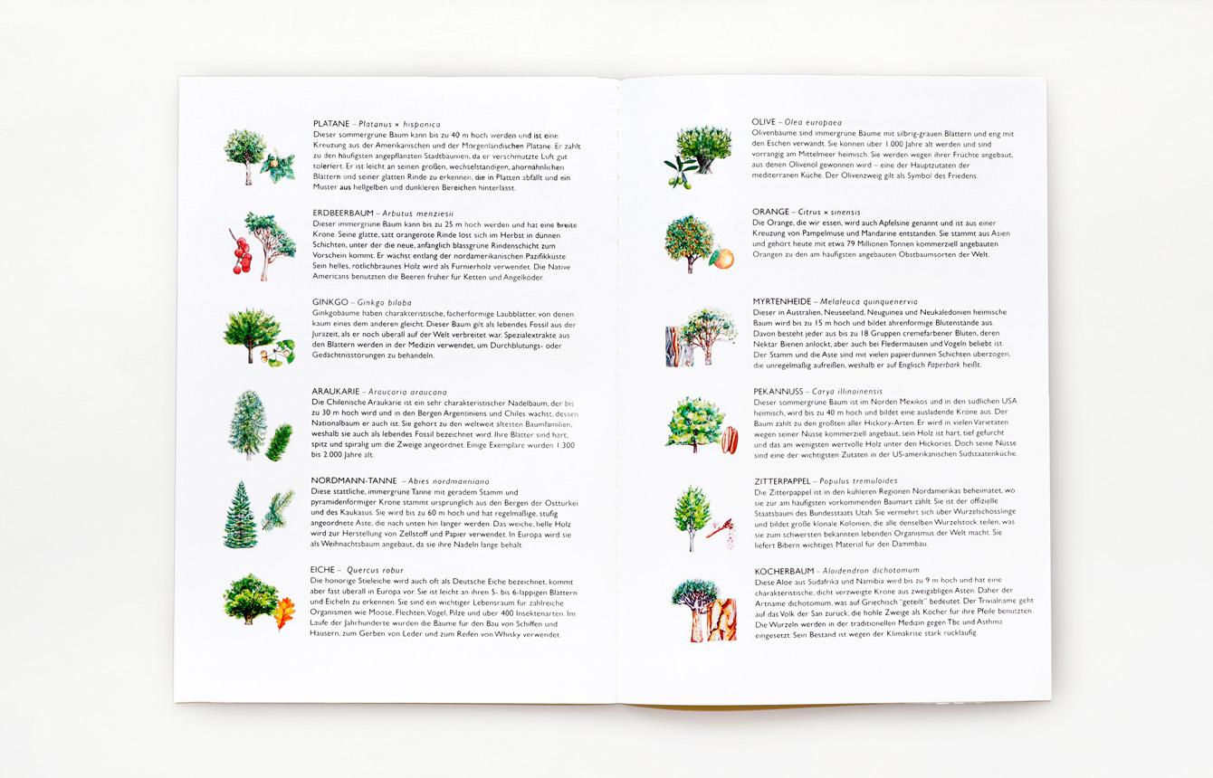 Beispielinhalt (Bild) Baum-Bingo