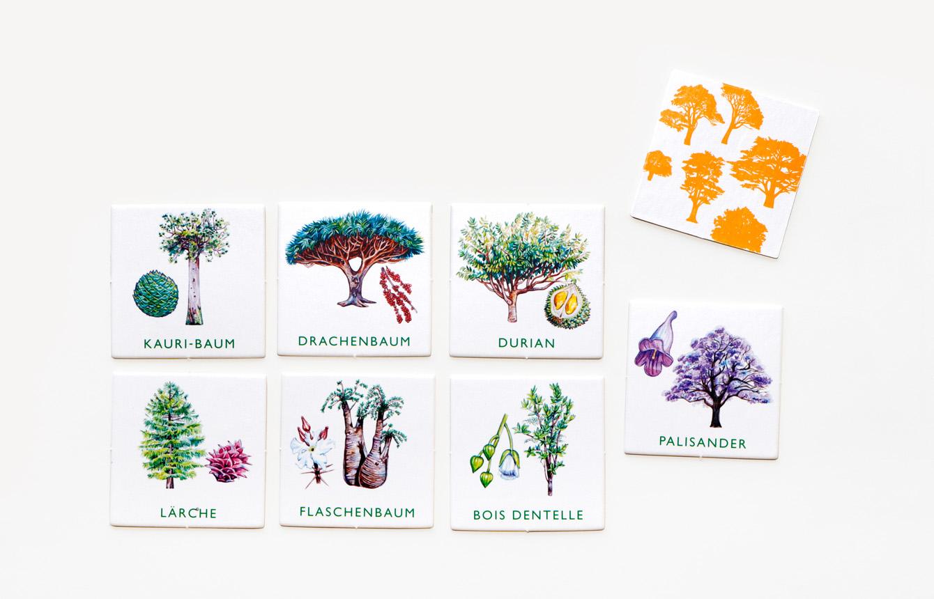 Beispielinhalt (Bild) Baum-Bingo