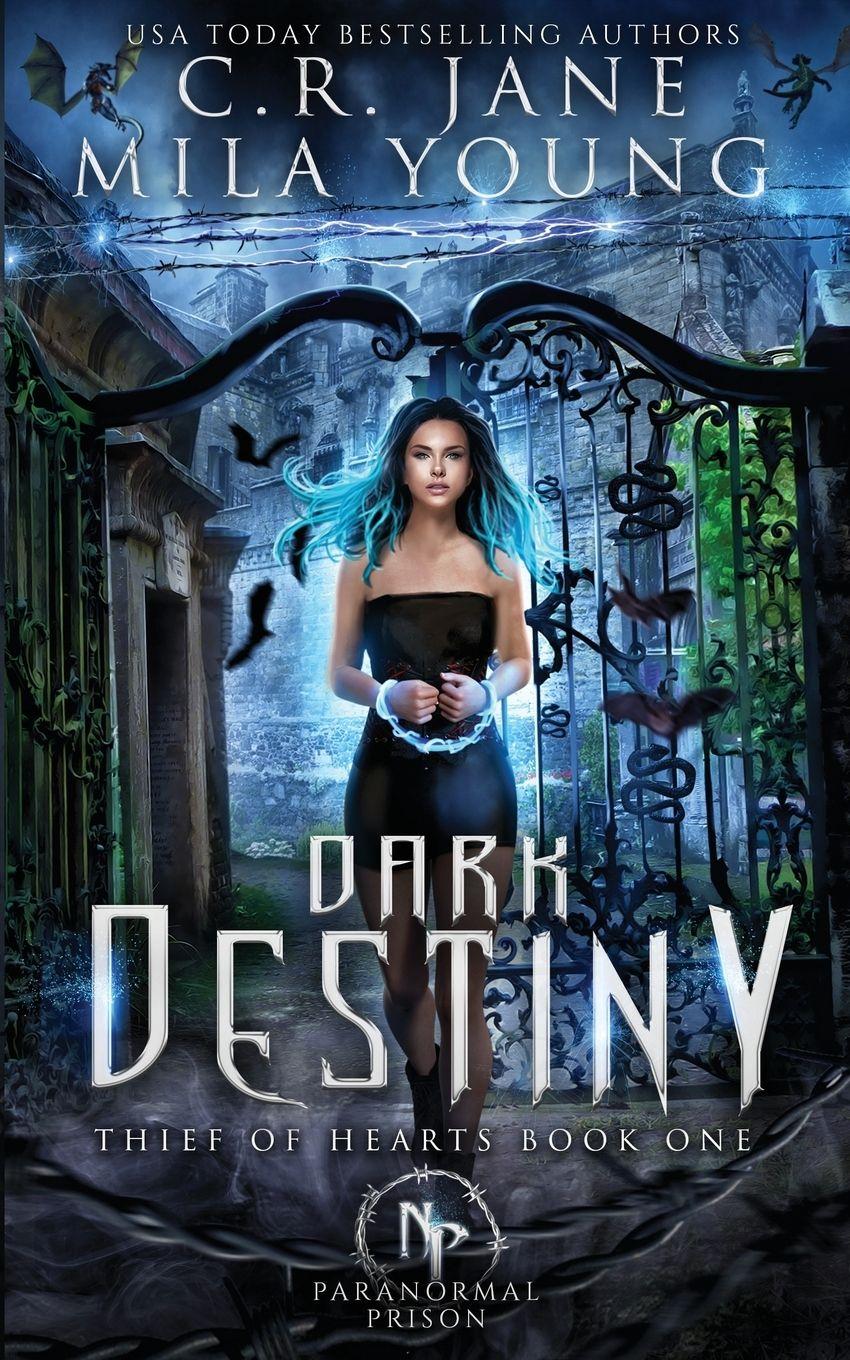 Vorderes Coverbild Dark Destiny