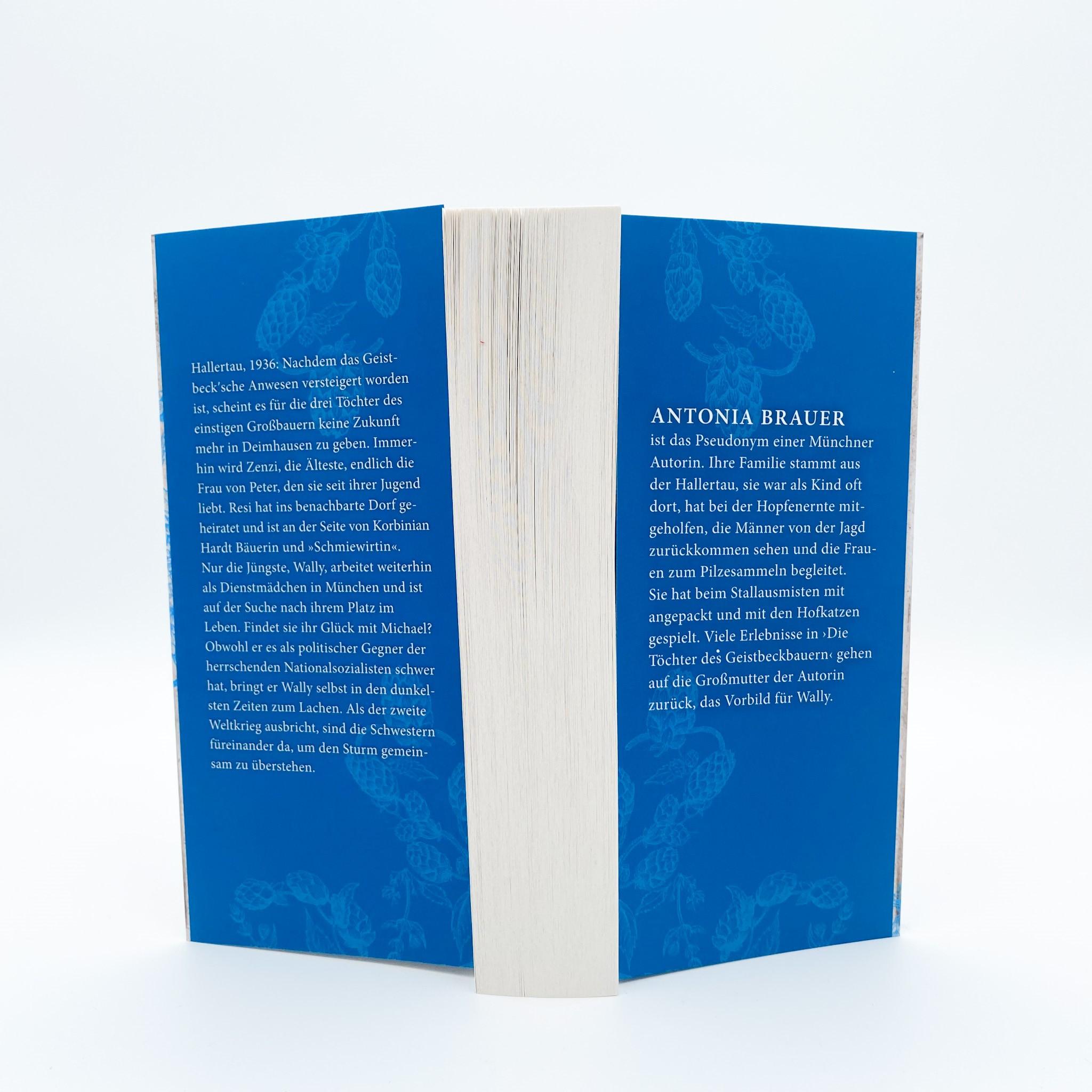 Beispielinhalt (Bild) Die Töchter des Geistbeckbauern