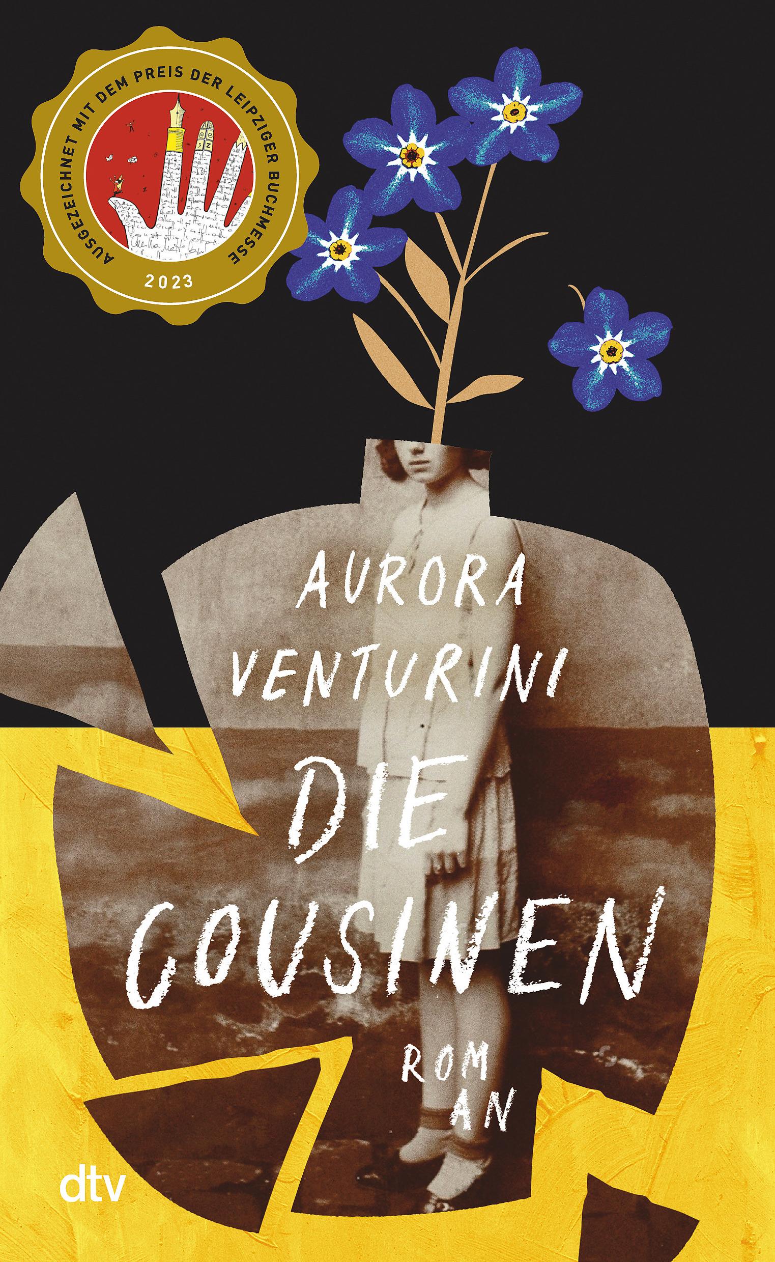 Vorderes Coverbild Die Cousinen