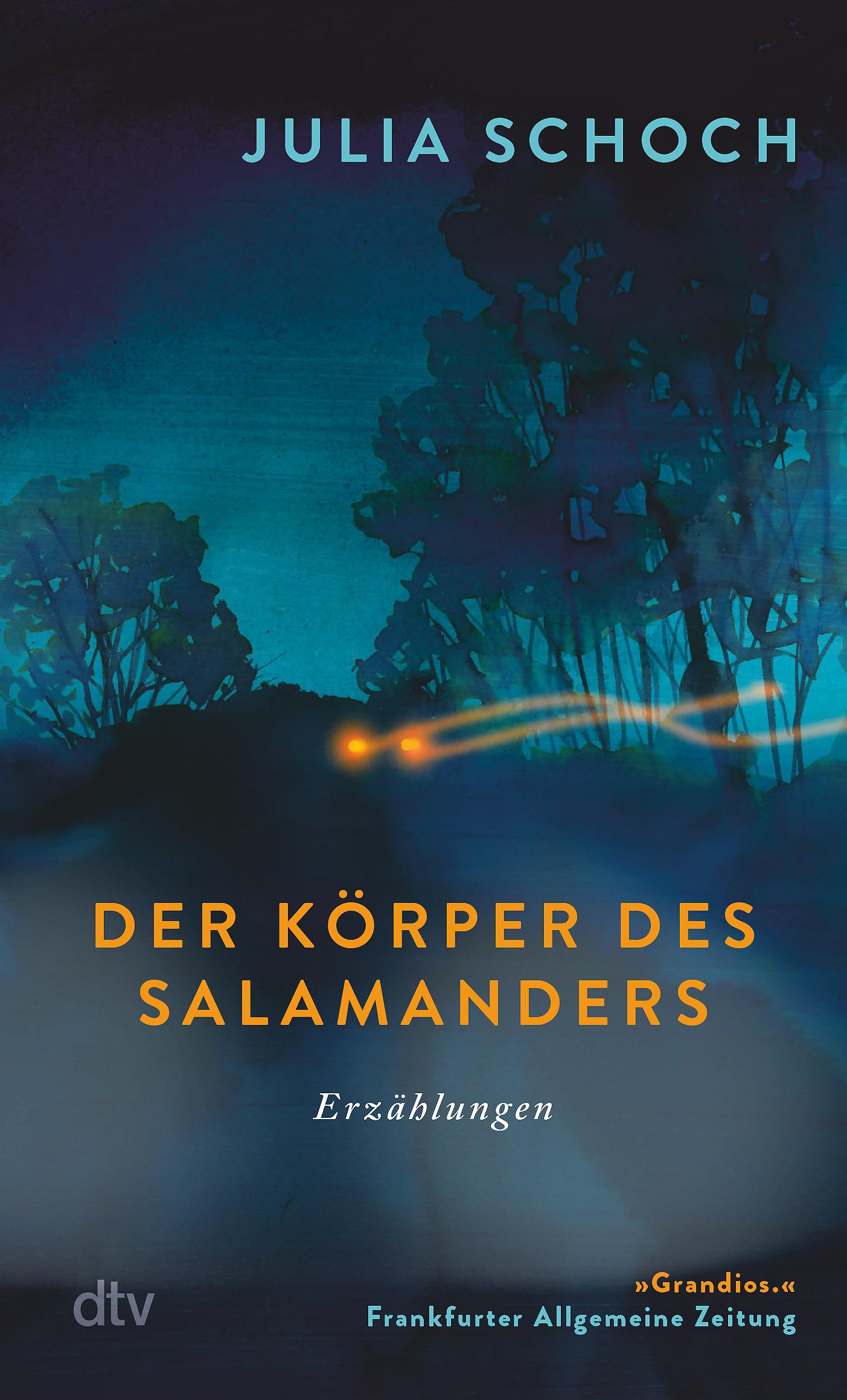 Vorderes Coverbild Der Körper des Salamanders
