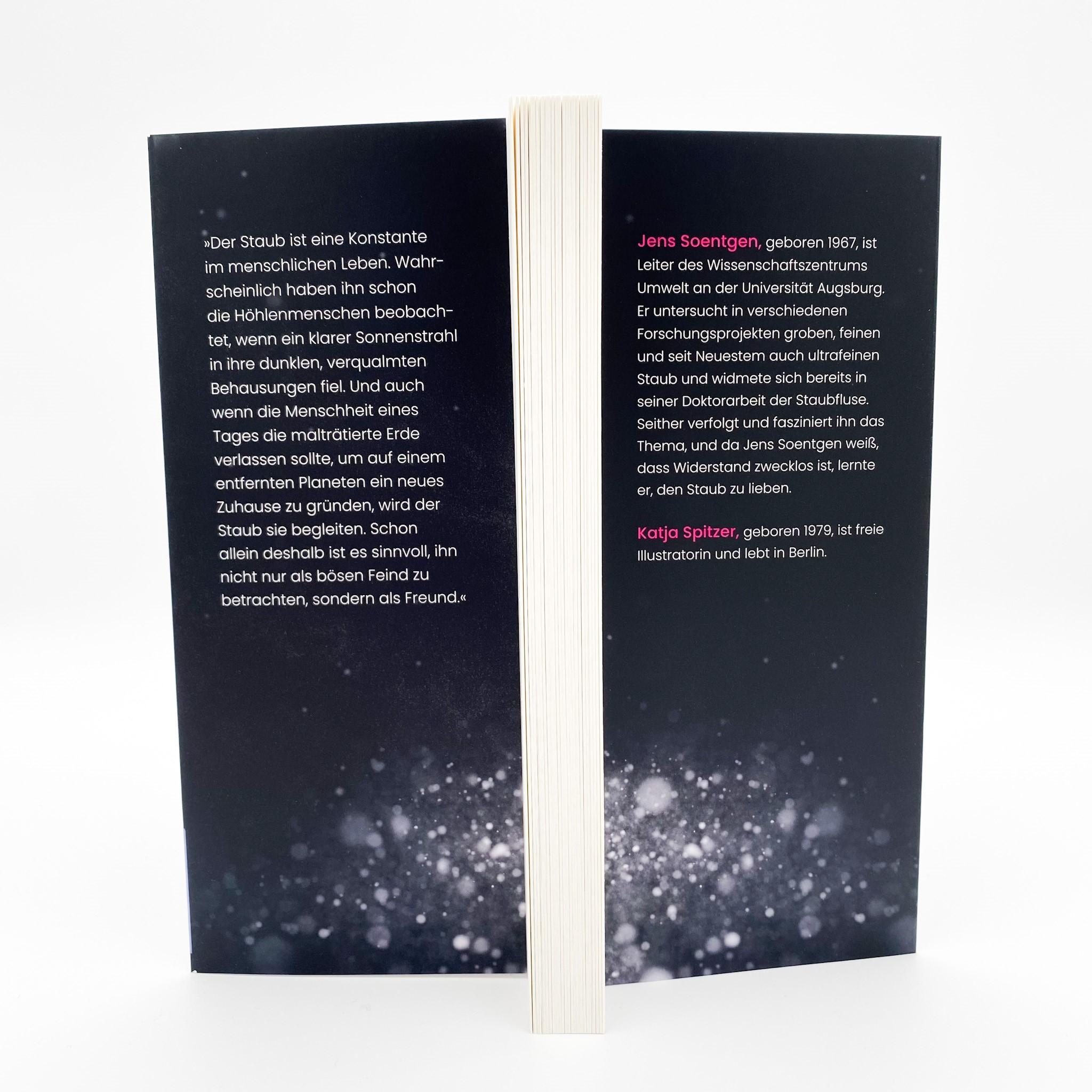 Beispielinhalt (Bild) STAUB