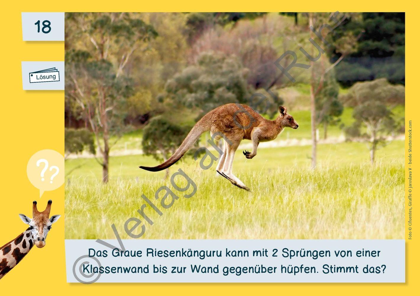 Beispielinhalt (Bild) Die Fermi-Kartei - Kl. 1-3