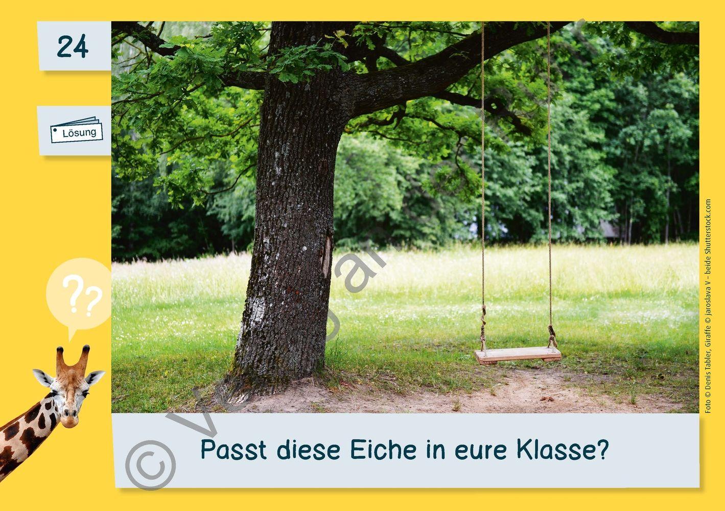 Beispielinhalt (Bild) Die Fermi-Kartei - Kl. 1-3