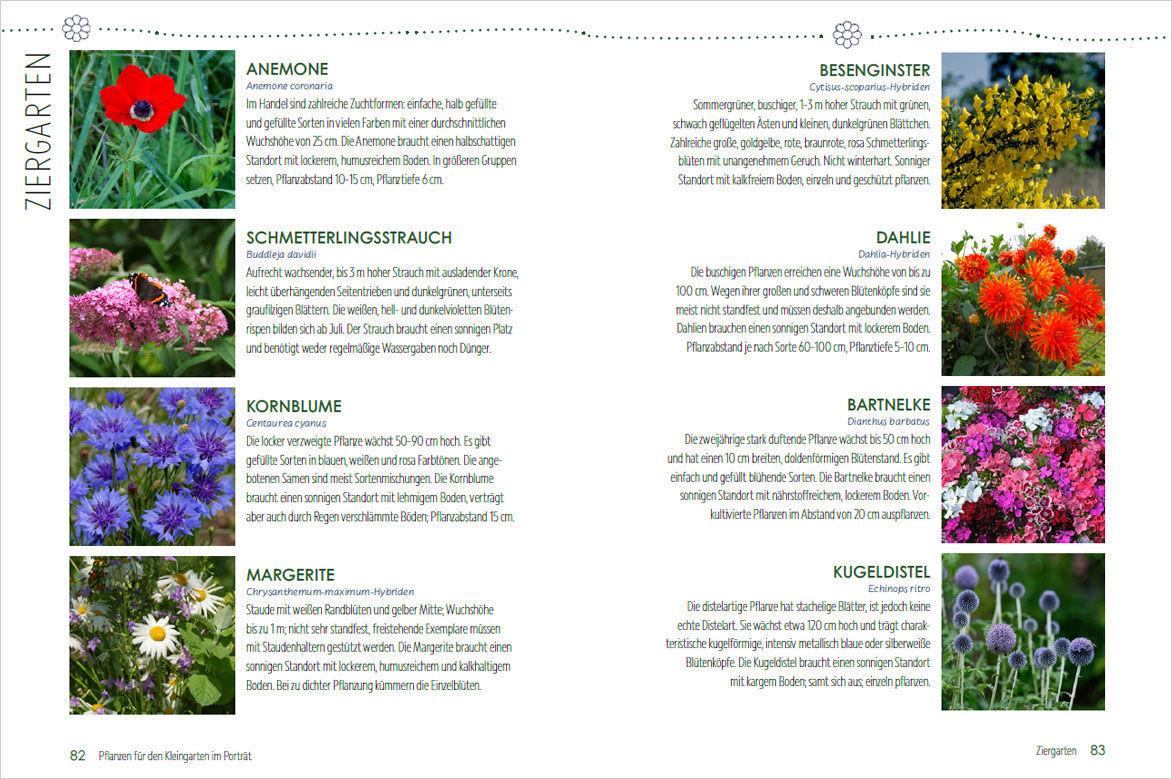 Beispielinhalt (Bild) Mein Jahr im Kleingarten. Schrebergarten für Anfänger