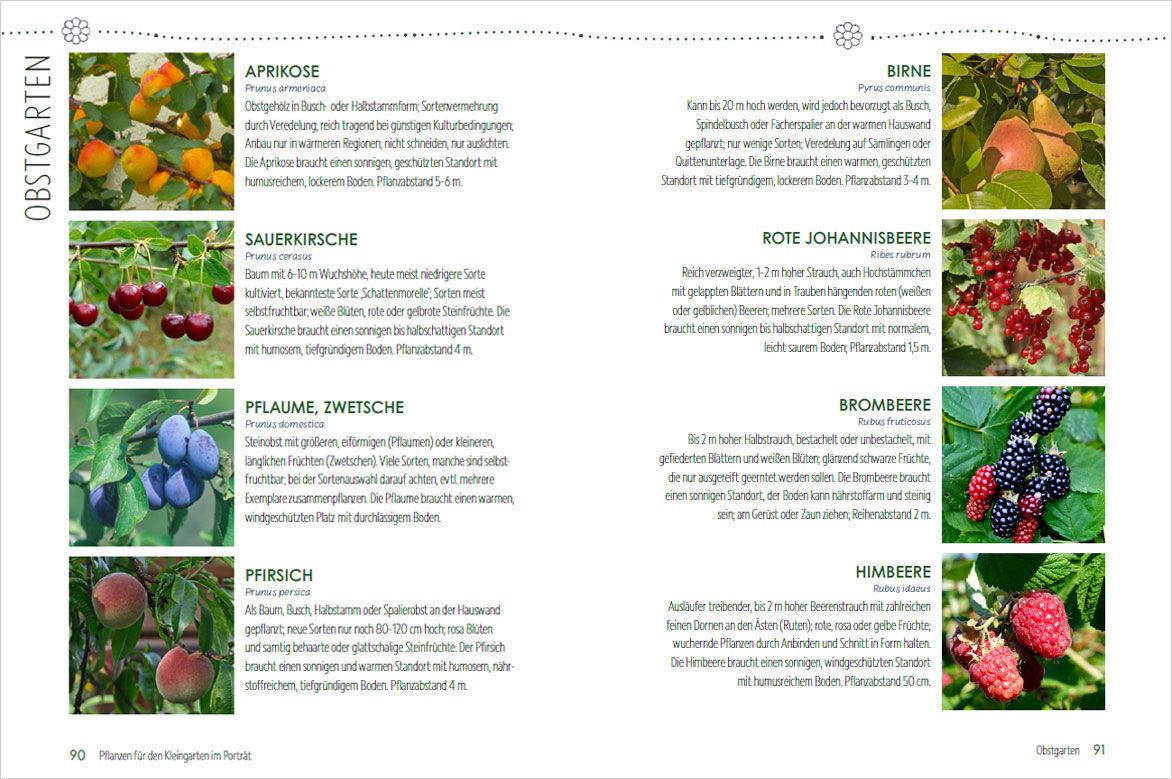 Beispielinhalt (Bild) Mein Jahr im Kleingarten. Schrebergarten für Anfänger