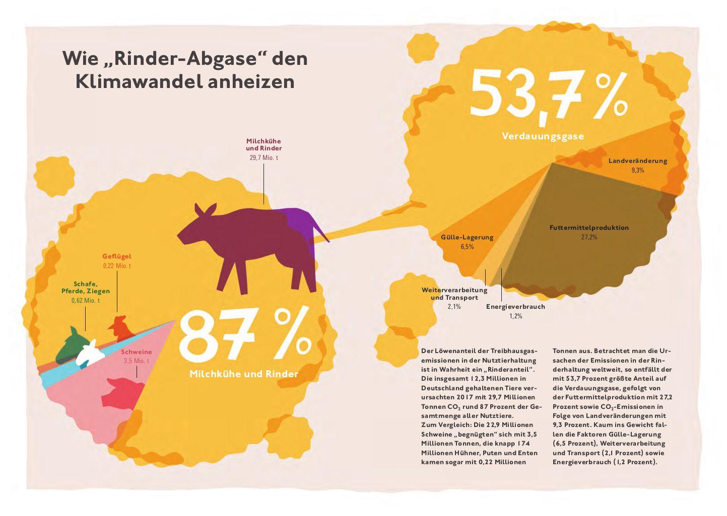 Beispielinhalt (Bild) Klimafreundlich essen mit der CO2-Challenge