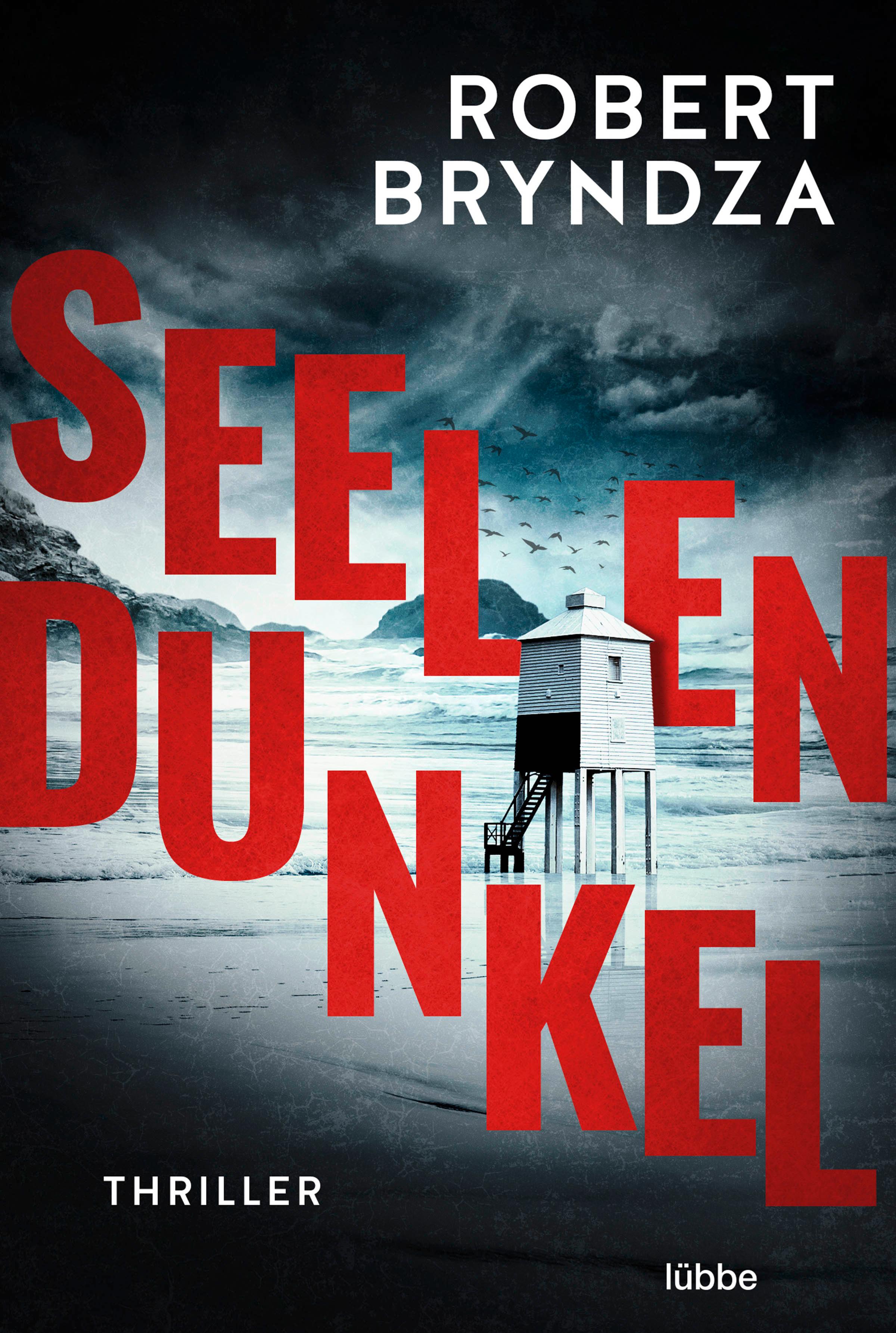 Vorderes Coverbild Seelendunkel