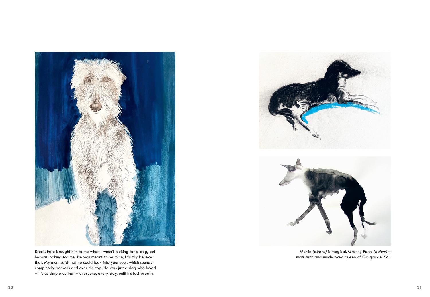 Beispielinhalt (Bild) Rescue Dogs
