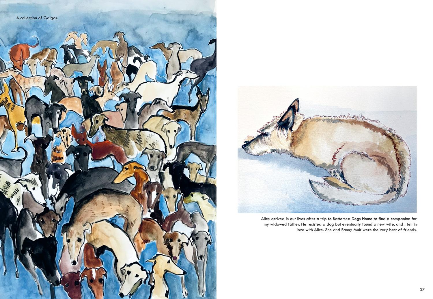 Beispielinhalt (Bild) Rescue Dogs