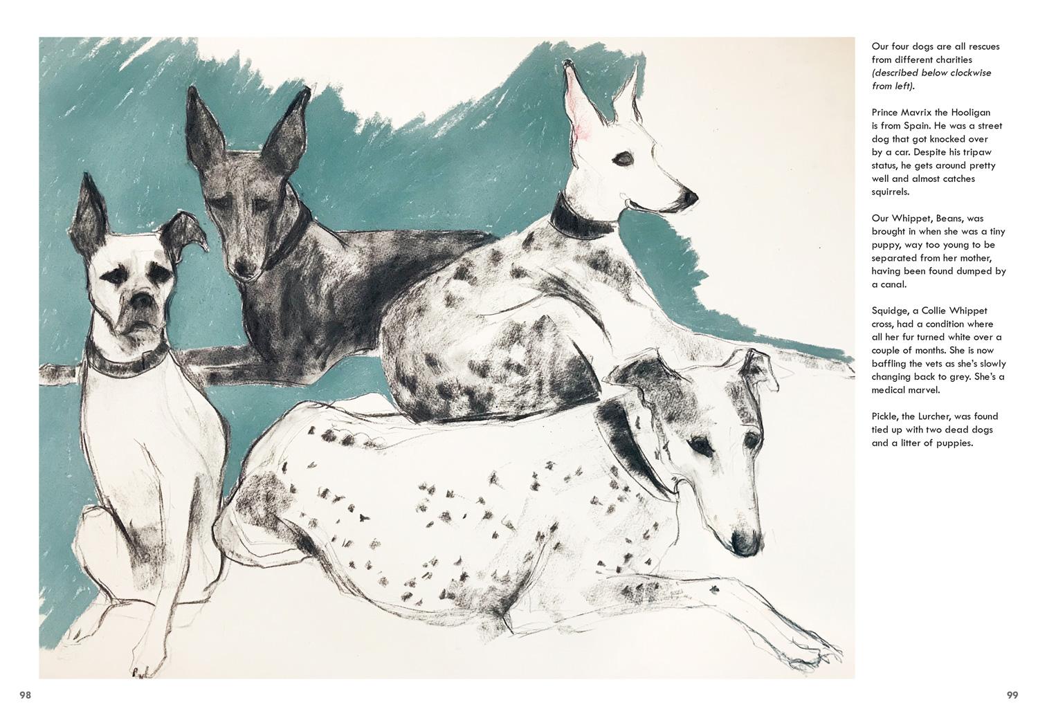 Beispielinhalt (Bild) Rescue Dogs