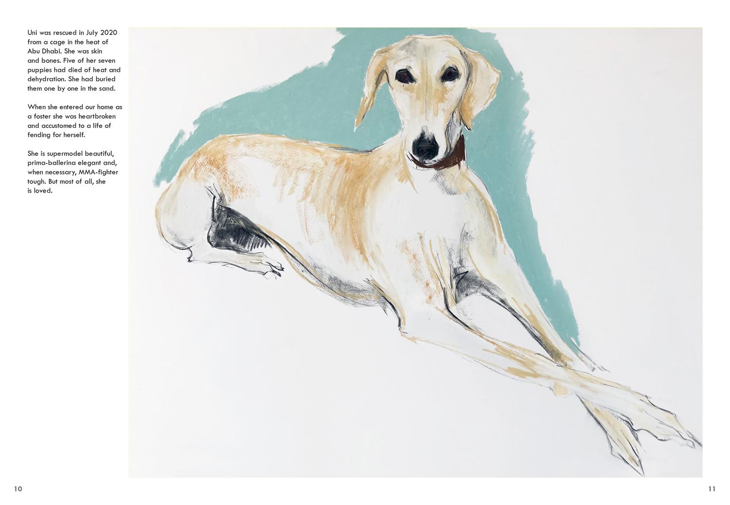 Beispielinhalt (Bild) Rescue Dogs