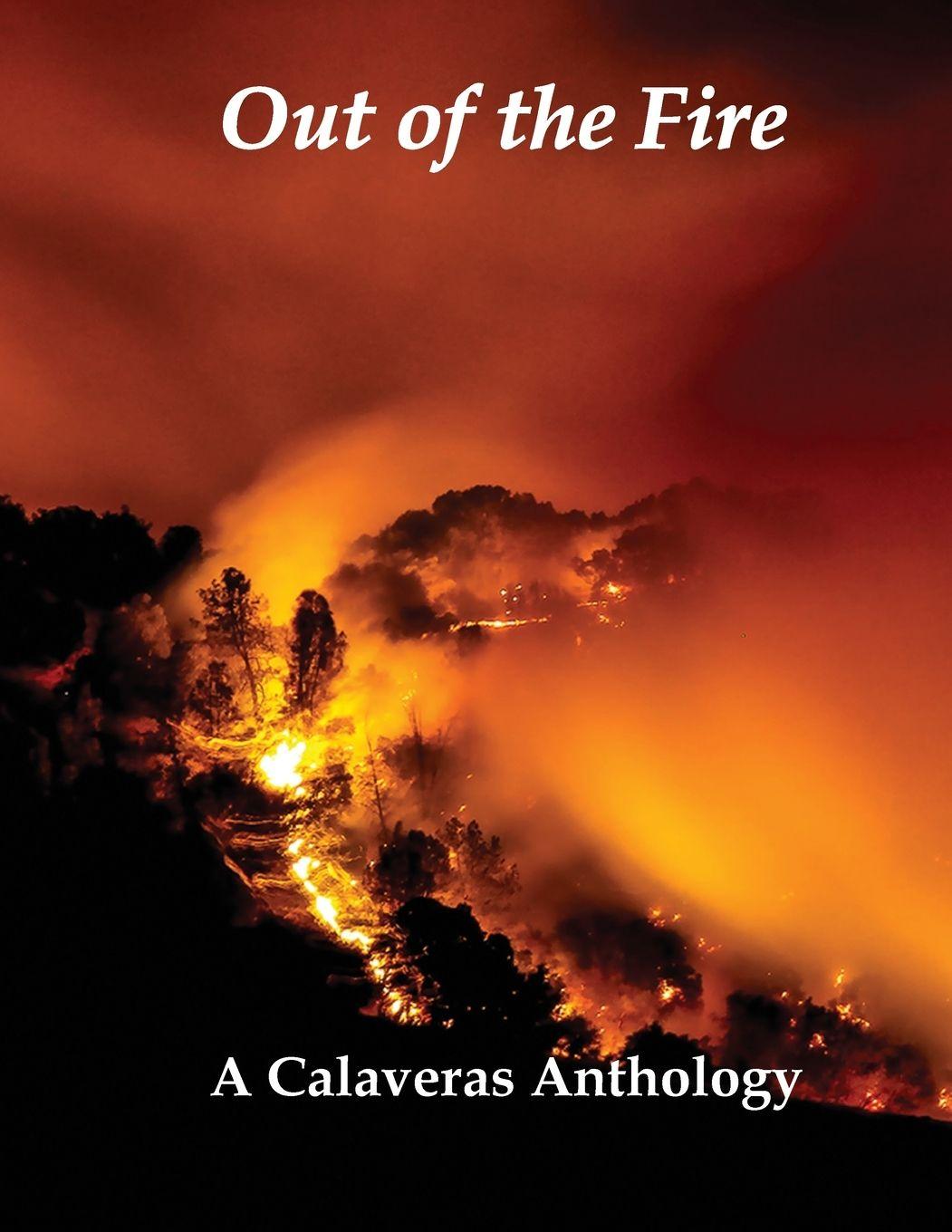 Vorderes Coverbild Out of the Fire