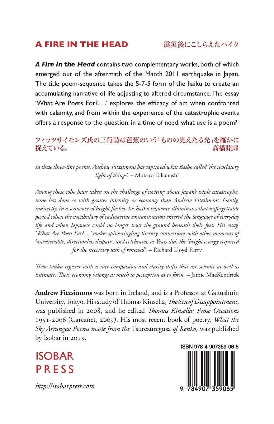 Rückseitencover A Fire in the Head