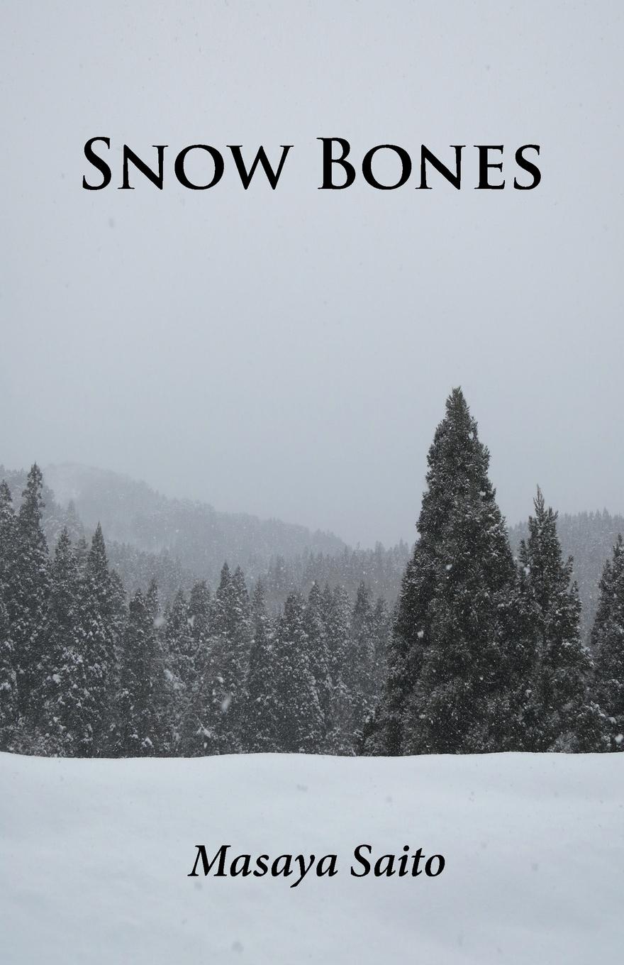 Vorderes Coverbild Snow Bones