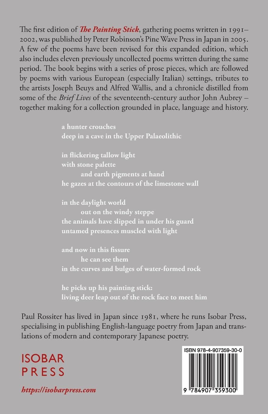 Rückseitencover The Painting Stick