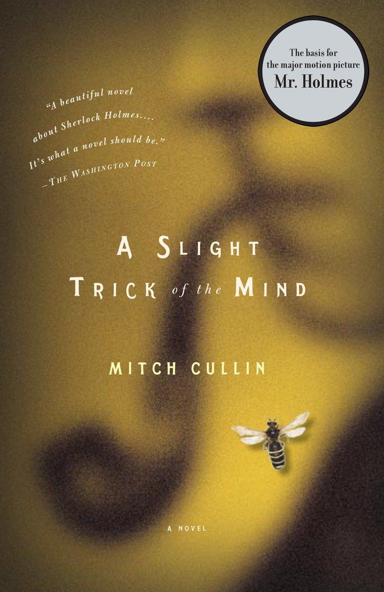 Vorderes Coverbild A Slight Trick of the Mind