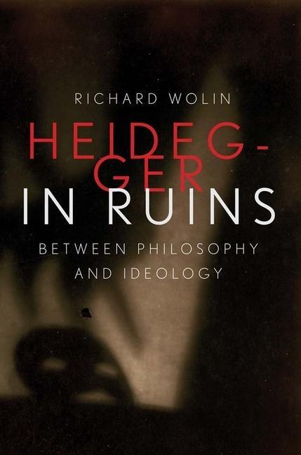 Vorderes Coverbild Heidegger in Ruins