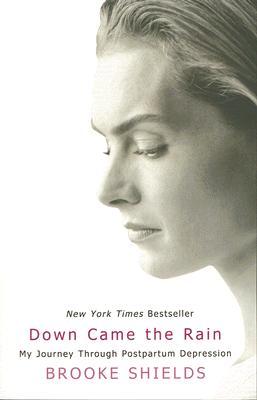 Vorderes Coverbild Down Came the Rain