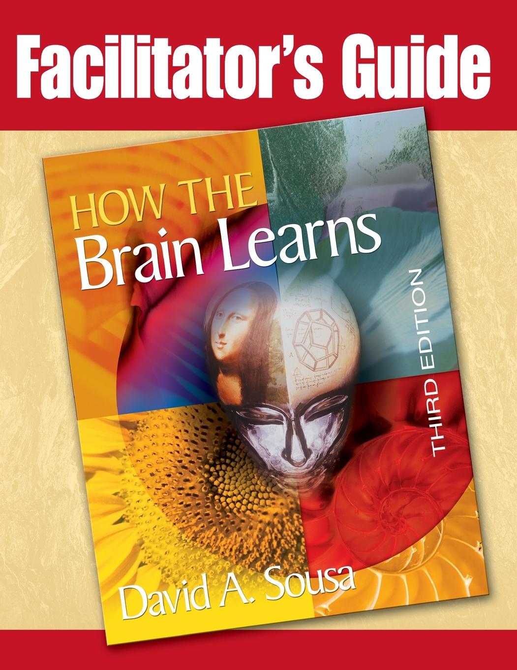 Vorderes Coverbild Facilitator's Guide to How the Brain Learns, 3rd Edition