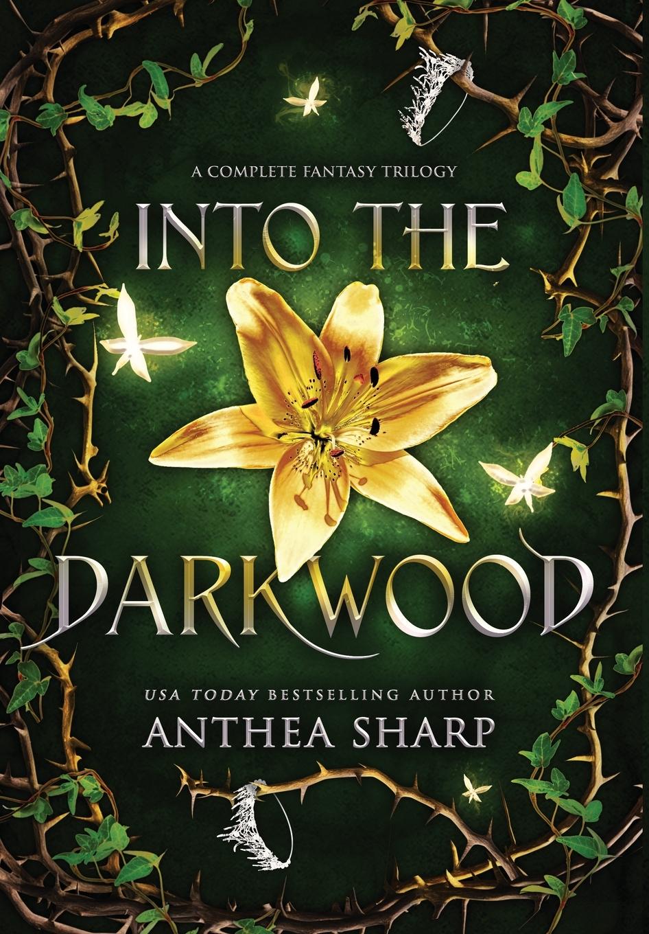 Vorderes Coverbild Into the Darkwood