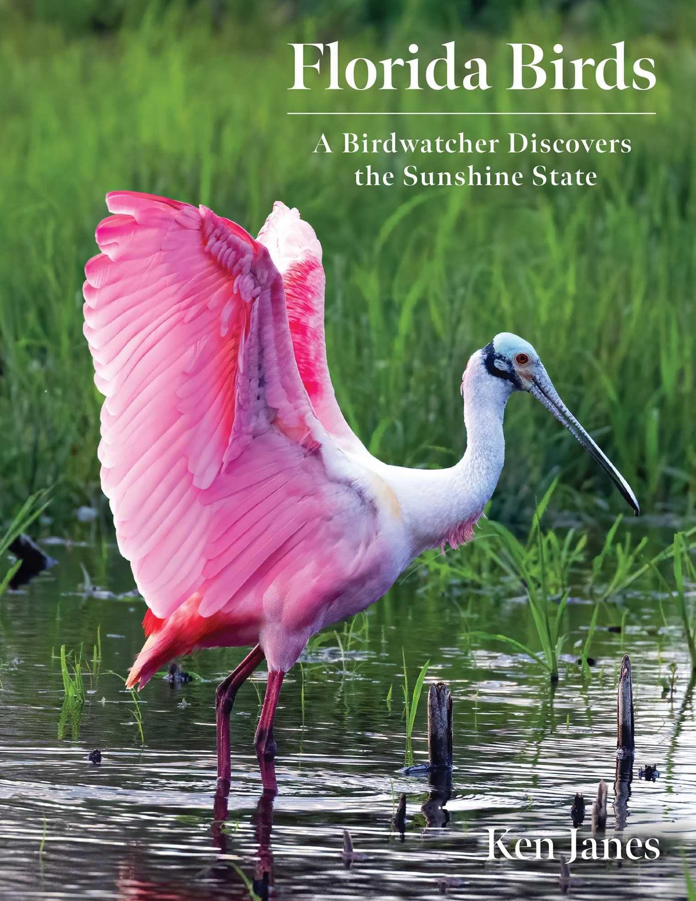 Vorderes Coverbild Florida Birds