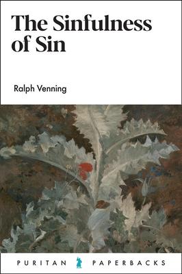 Vorderes Coverbild The Sinfulness of Sin