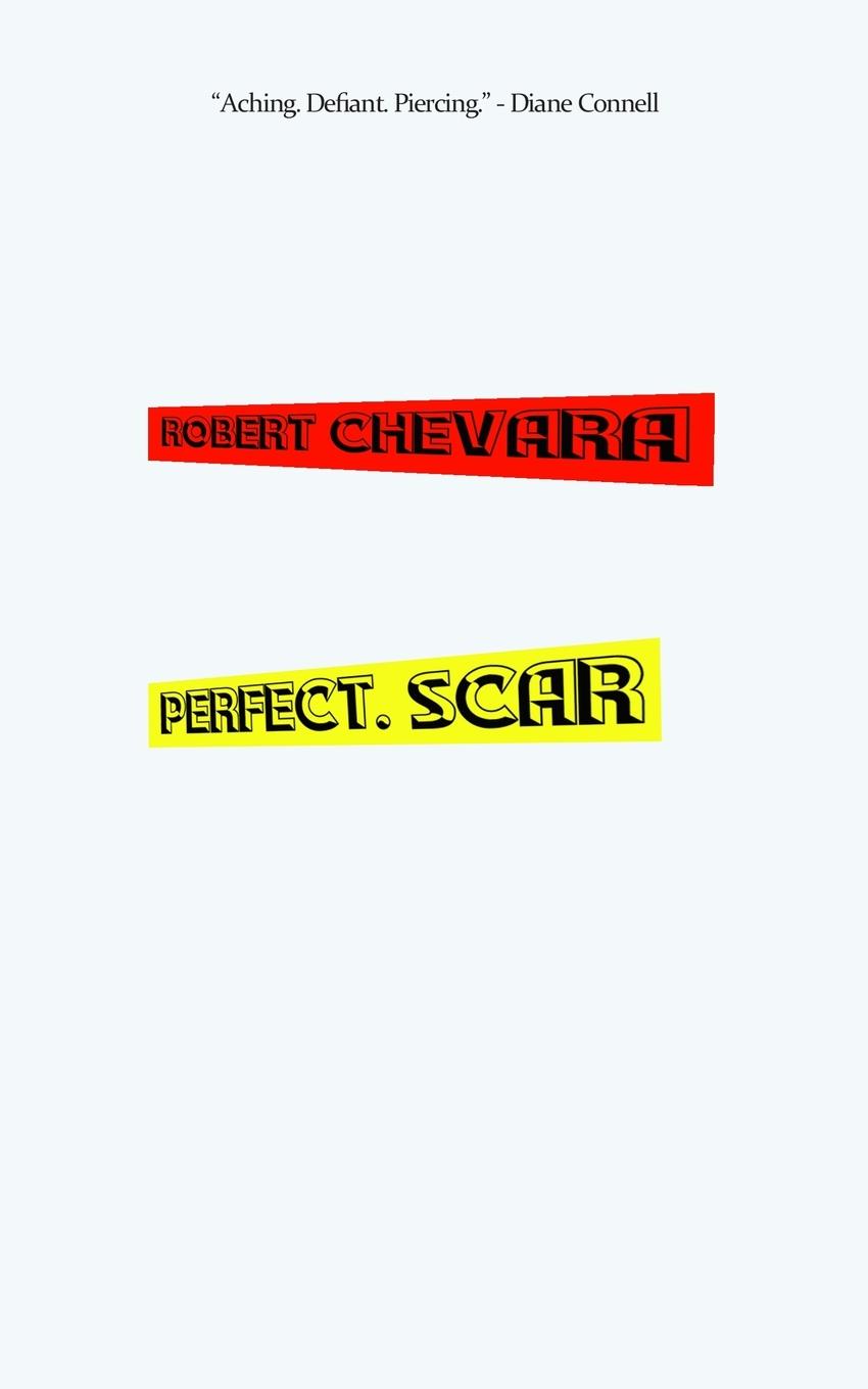 Vorderes Coverbild Perfect. Scar