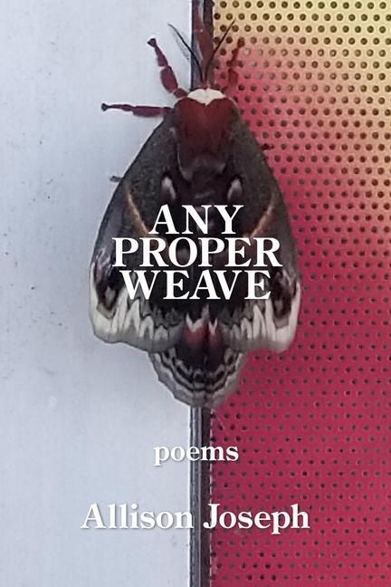 Vorderes Coverbild Any Proper Weave