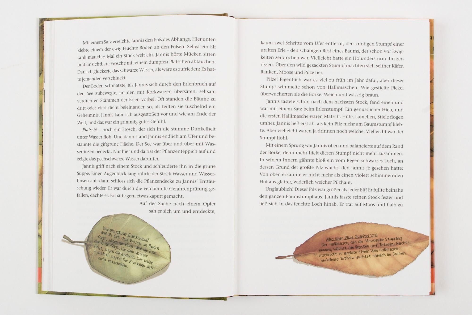 Beispielinhalt (Bild) Wecke niemals einen Schrat!