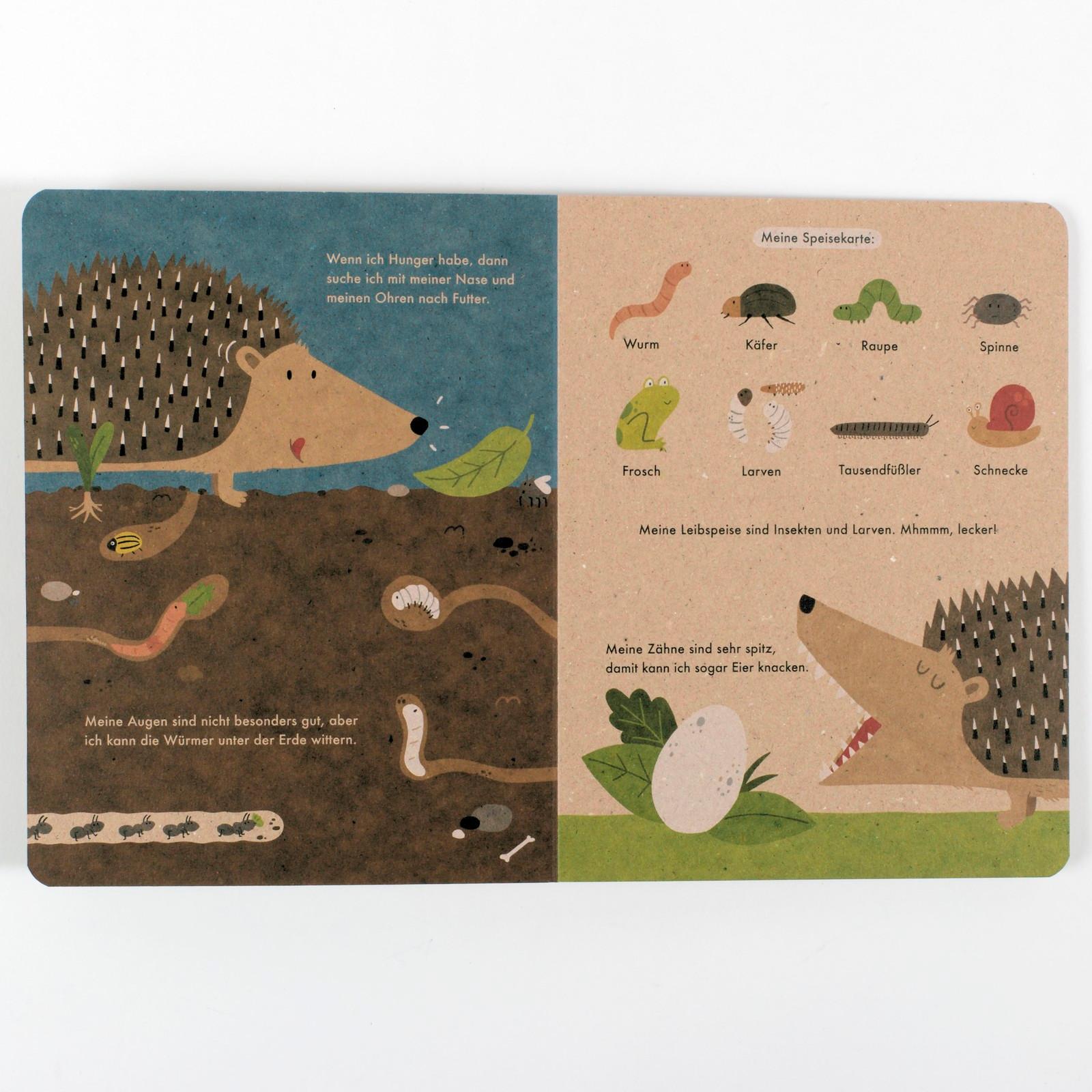 Beispielinhalt (Bild) Ich bin der Igel