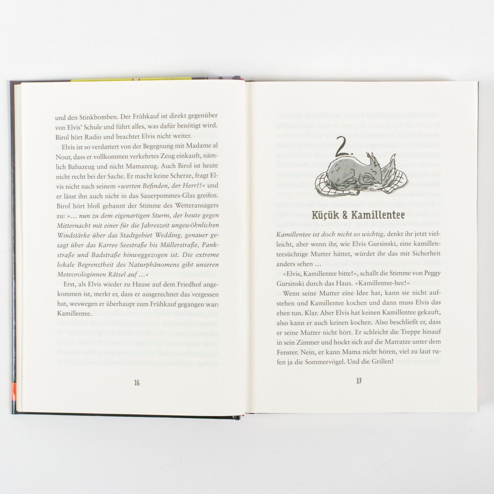 Beispielinhalt (Bild) Elvis Gursinski und der Grabstein ohne Namen