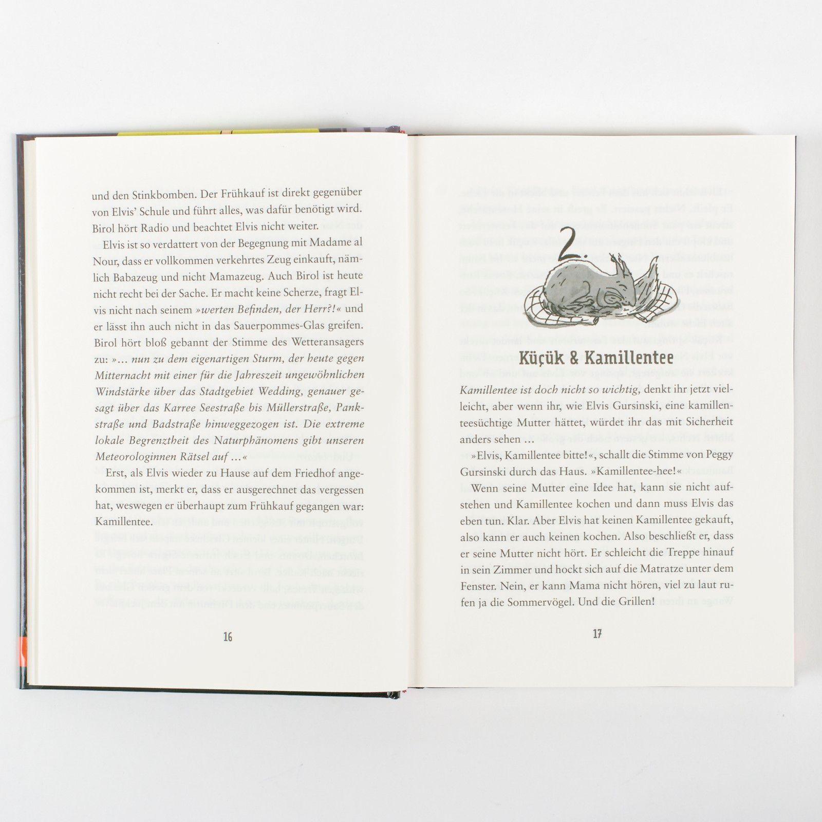 Beispielinhalt (Bild) Elvis Gursinski und der Grabstein ohne Namen