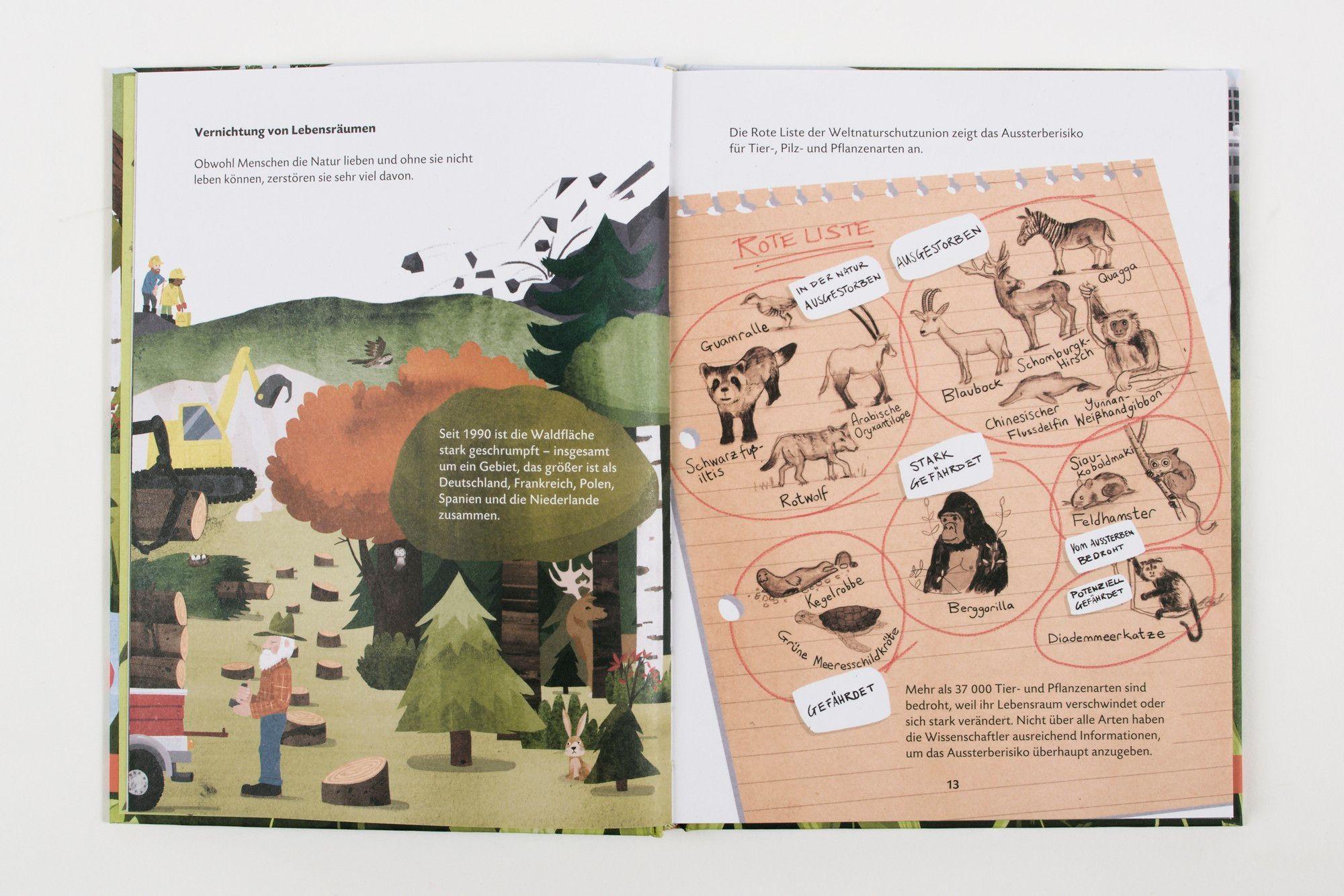 Beispielinhalt (Bild) Die Vielfalt der Natur