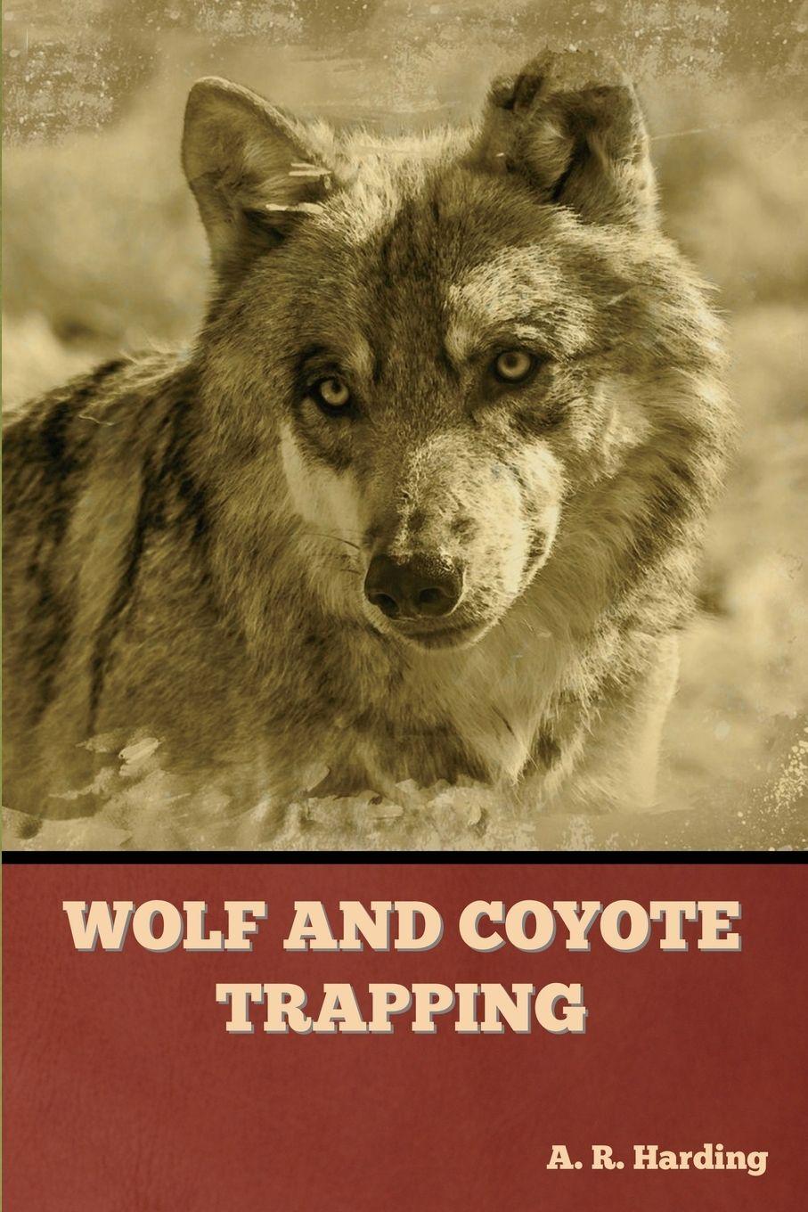 Vorderes Coverbild Wolf and Coyote Trapping