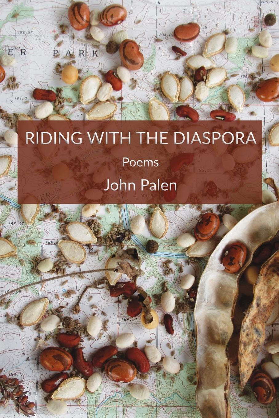 Vorderes Coverbild Riding with the Diaspora